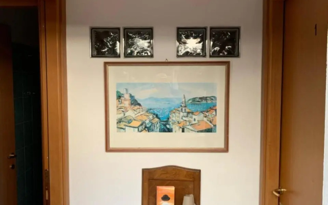 I Limoni di Matteo