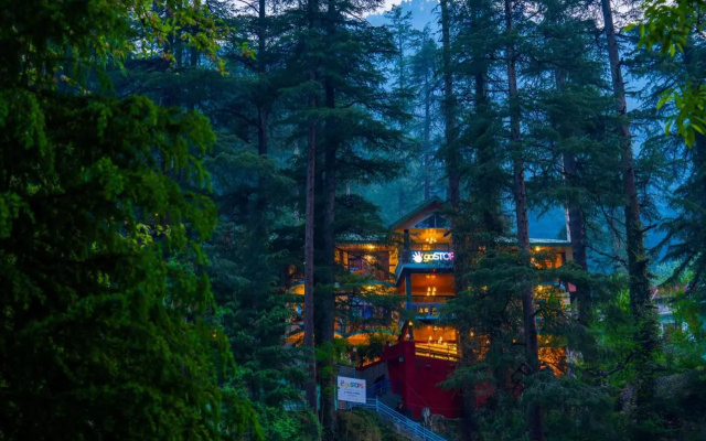 goSTOPS Kasol