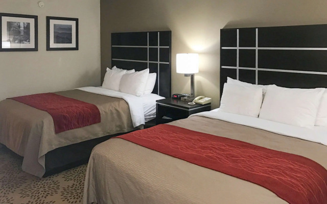 Comfort Inn North of Asheville
