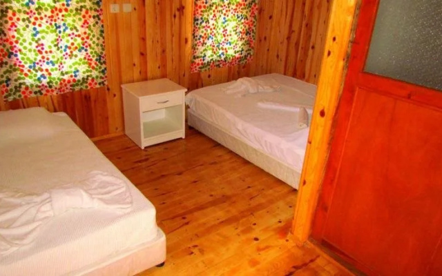 Jungle Bells Hostel