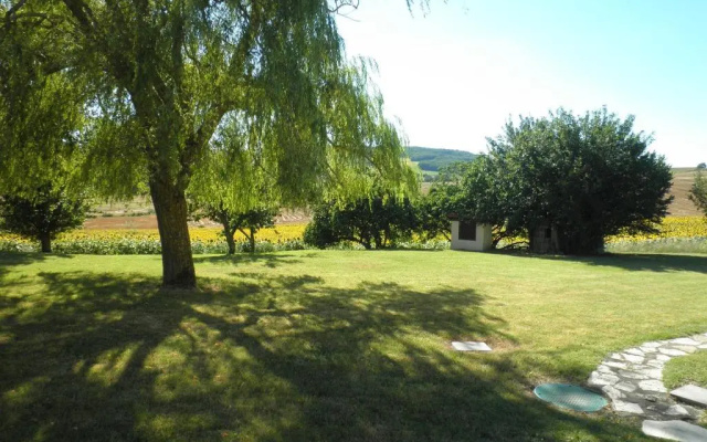 Domaine de la Vigne