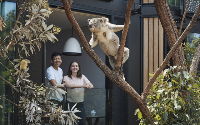 Wildlife Retreat at Taronga