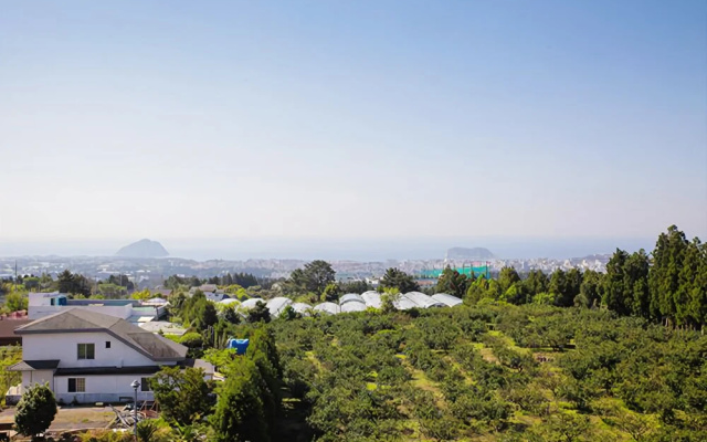 Seogwipo lacomma pension