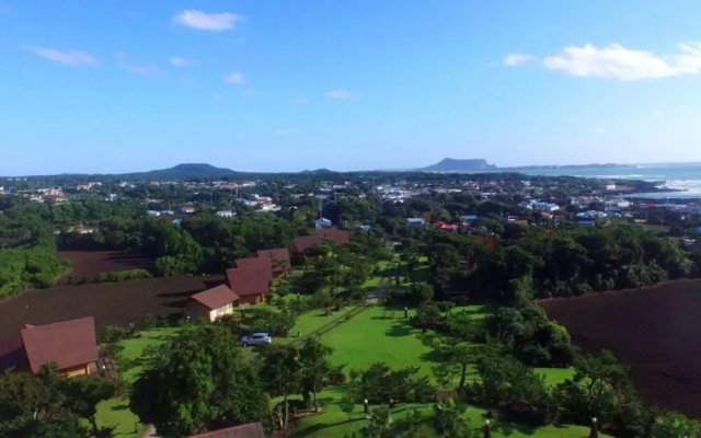 Jeju Bille Tongnamuhyuyang Pension