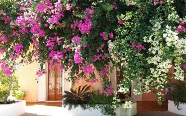 Constantinos Apartments