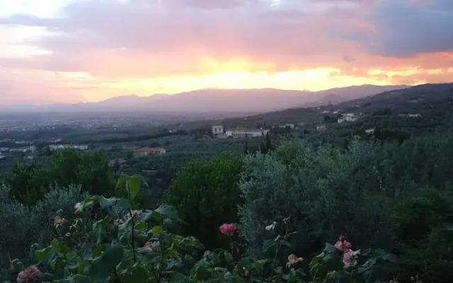 Olive Tree Suites