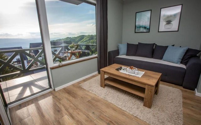 View - Apartment at Kopaonik