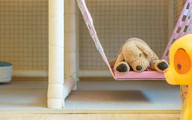 Gyeongju Ain Kids Pool Villa