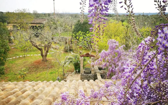 B&B Borgo Del Gallo