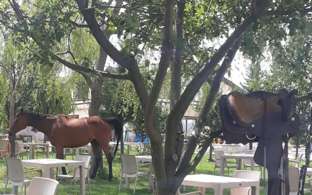Meric Otel At Ciftligi