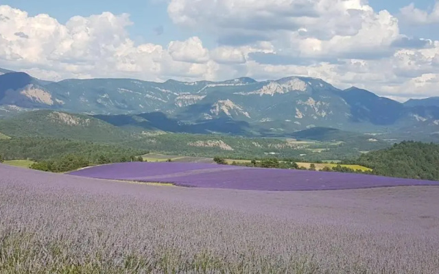 Le Glandasse