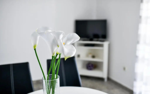Apartments Martom