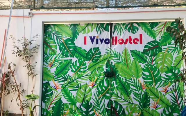 I Vivo Hostel