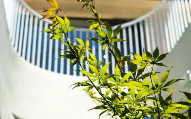A touch of sunshine Inn