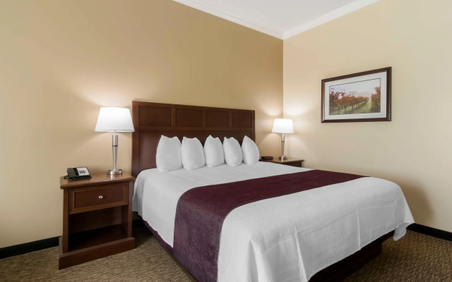 Best Western Plus Grapevine Inn