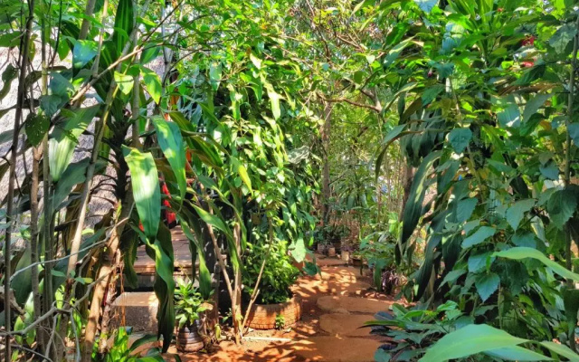 Ratanakiri Homestay