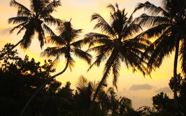 Muli Inn Surf View Maldives 1