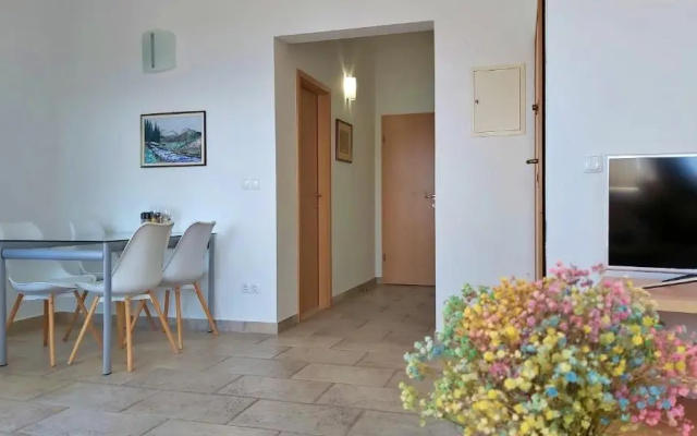 Apartments Borak