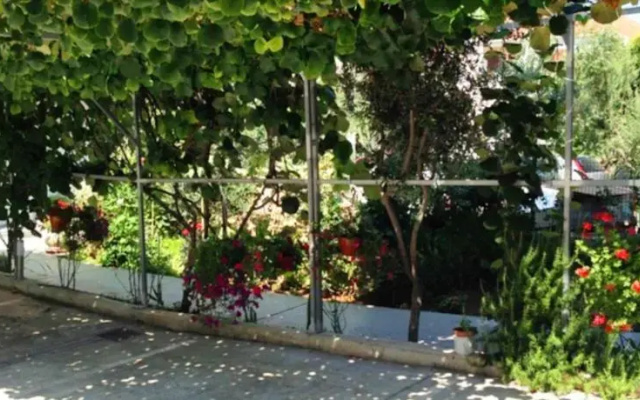 Apartments Miro