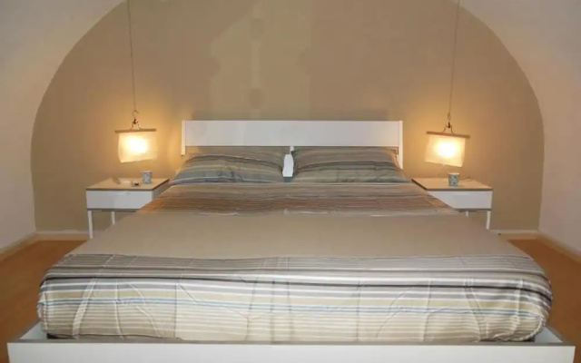 Central House Apartment