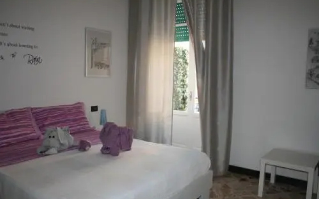 Sunny B&B