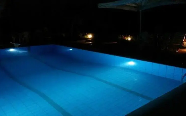 Toulipa 2