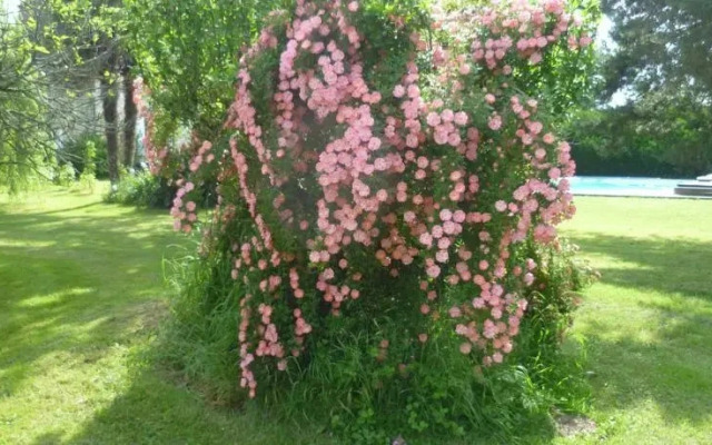 Les gîtes dArmanse