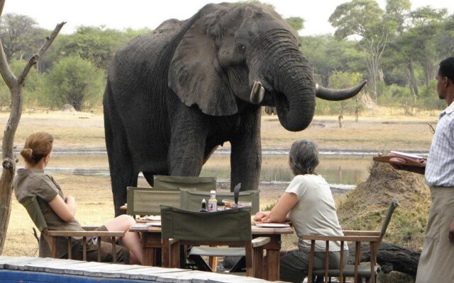 The Hide Safari Camp