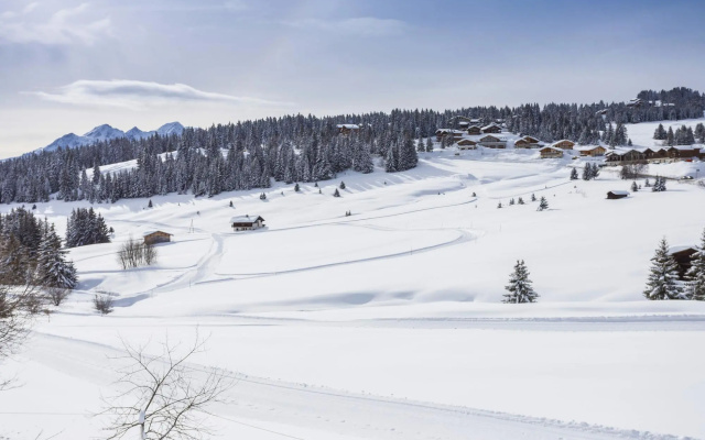 Modern apartment in authentic ski village les Saisies