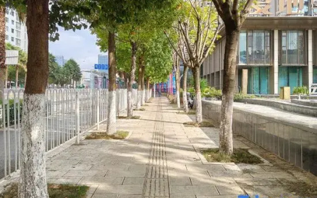 Kunming Qingcheng Homestay (Xishan Wanda Branch)