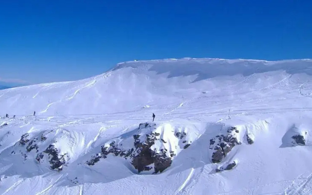 Alpine Backpackers