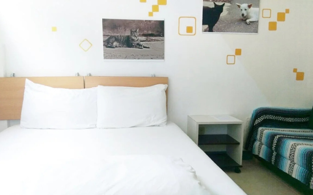 Cozy Hostel