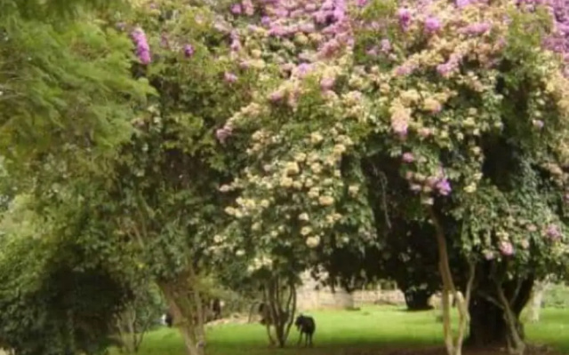 Amboni Lodge