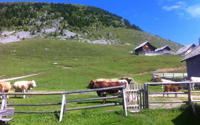 Alte Post