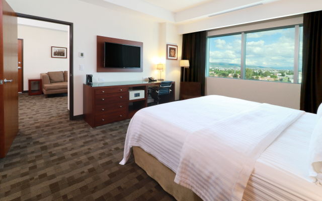 Holiday Inn Leon Plaza Mayor by IHG