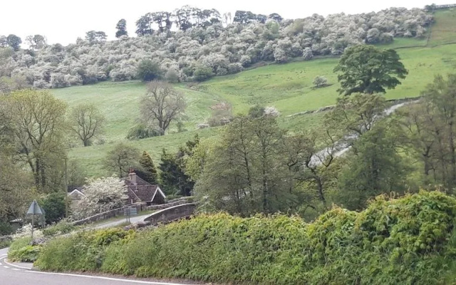 Rose Cottage