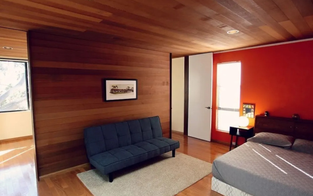 Bay View Modern