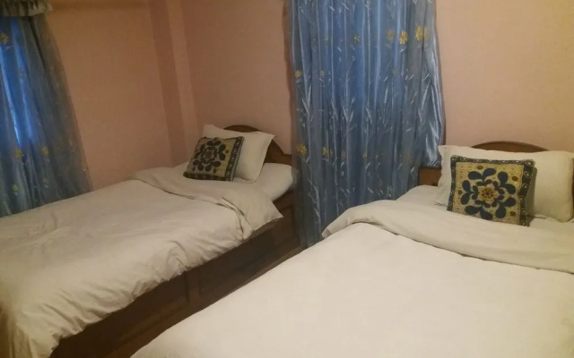 Thamel Villa