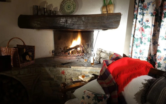 Fattoria Casa Sola