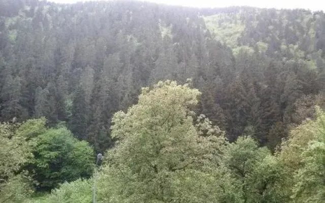 Zviad Guest House