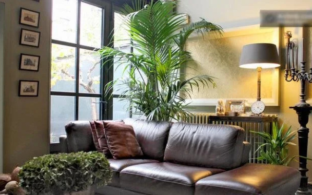 B&B Dinellis Guesthouse