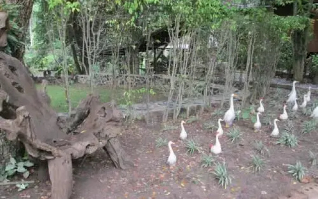 Mams Village
