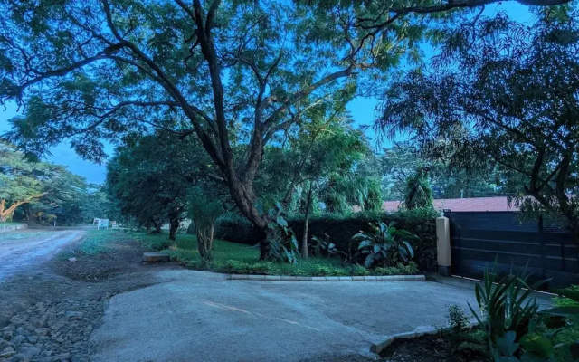 jacaranda homestay