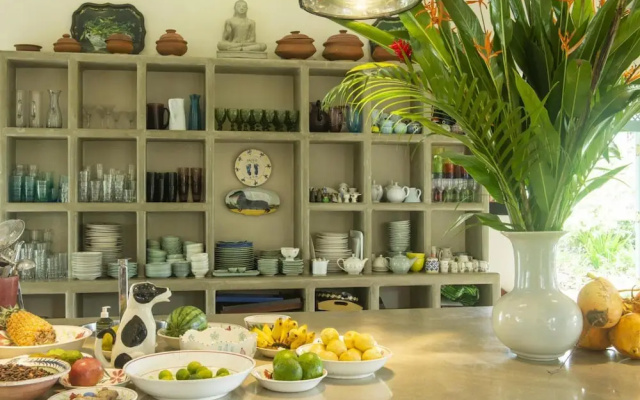 08 Acre Private Tea Estate Close To Galle