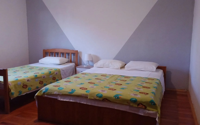 Apartment Damir - big apartment A1-donji veliki Nin, Zadar riviera