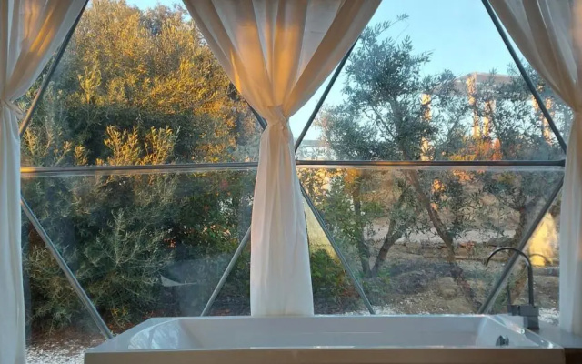 Glamping Skies