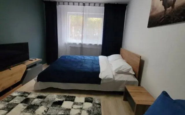 Casa Rusu