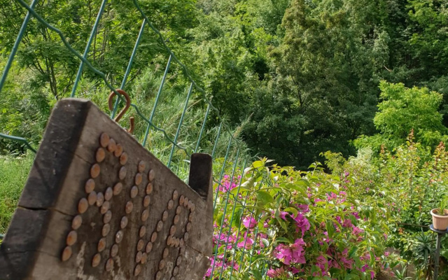 B&B collina e mare