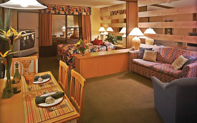 Dolphin Beach Club