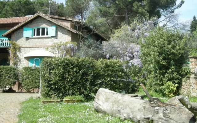 Colleionci